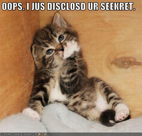 kittee disclosed seekret