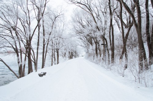 kalte Winterlandschaft